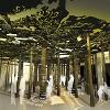 The entry experience - The Forest