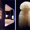 Space dedicated to Junya Watanabe