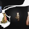 Concept for the space dedicated to Vivienne Westwood